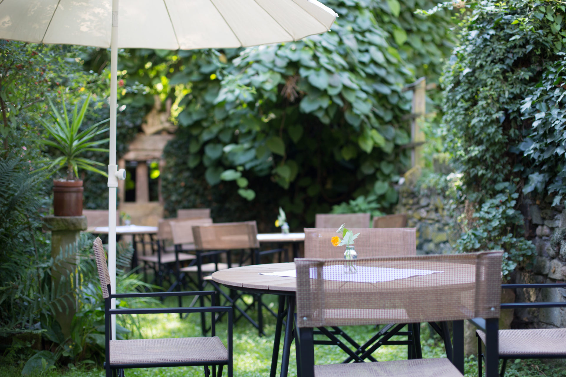Café Acanthus, Mildenfurth