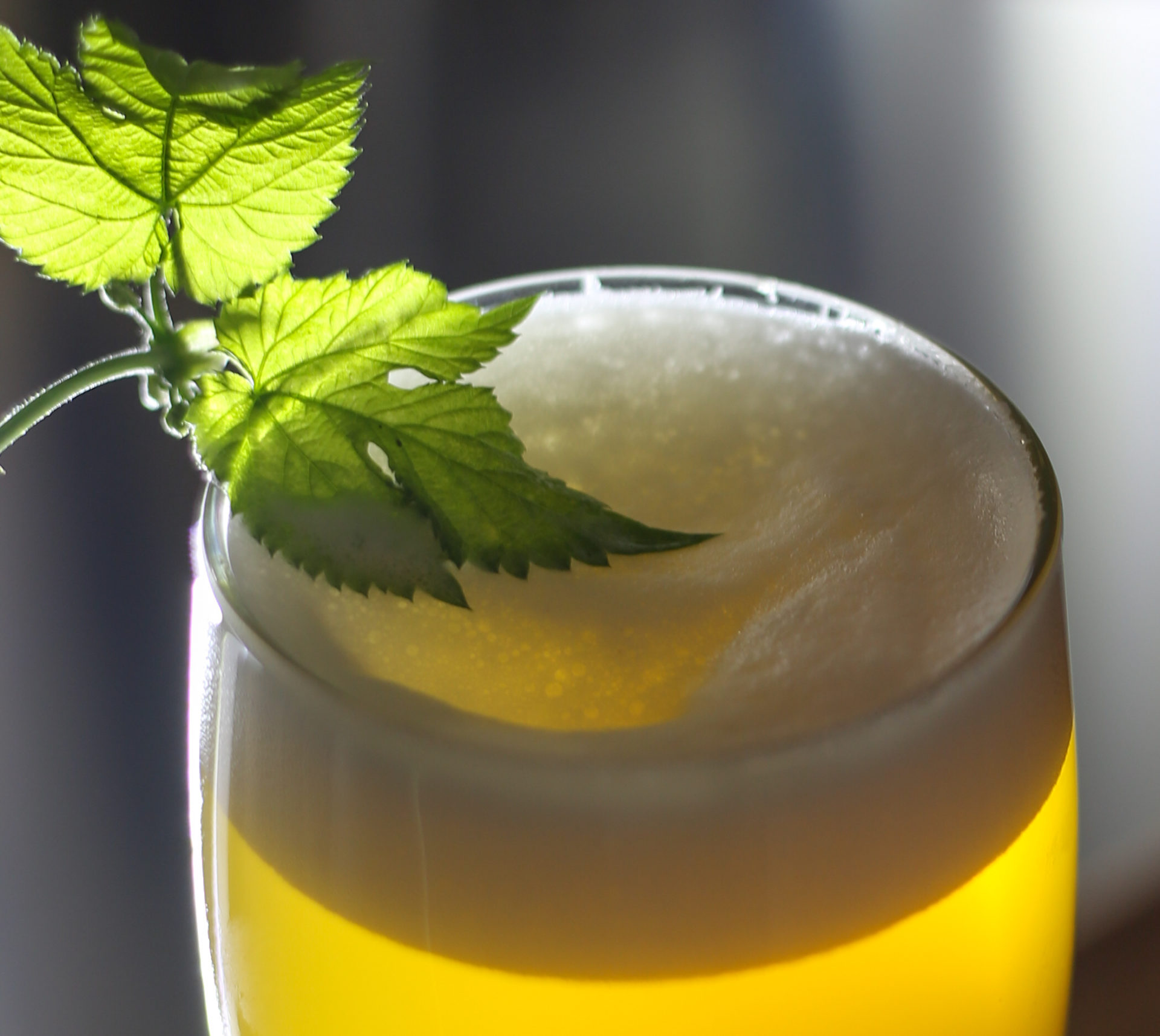 Zapfhahn - Schaubrauerei Pagenkopf